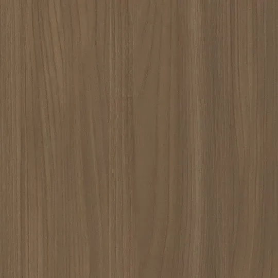 Camel Elm 5795-58