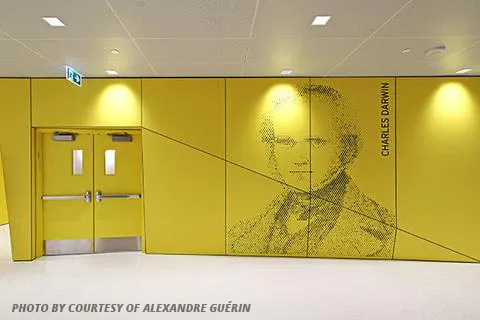 Pavillon_Alexandre_Vachon_FIXED_C7D_6836_large_b46bd5b3-f189-4e3c-8893-6e185ad3b72f_grande.webp