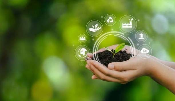 SUSTAINABILITY